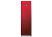 Холодильник LG GA-B409TGAW Art Flower