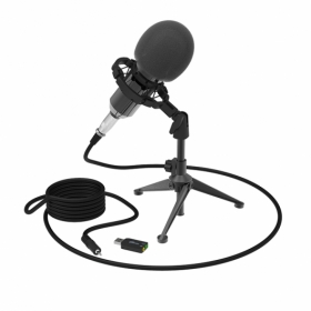 Микрофон Ritmix rdm-160 Black